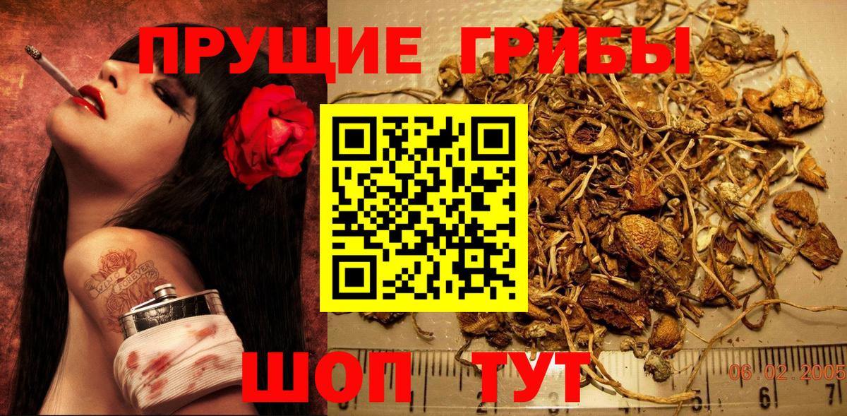 Галлюциногенные грибы ЛСД Гулькевичи